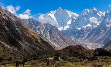 Kanchanjungha Trek